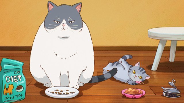 Кеничи Такито играет титулованного «грустного и толстого кота» Мару (слева на изображении выше), а уроженка Эхимэ Нана Мизуки играет черную кошку Мадонну (справа).