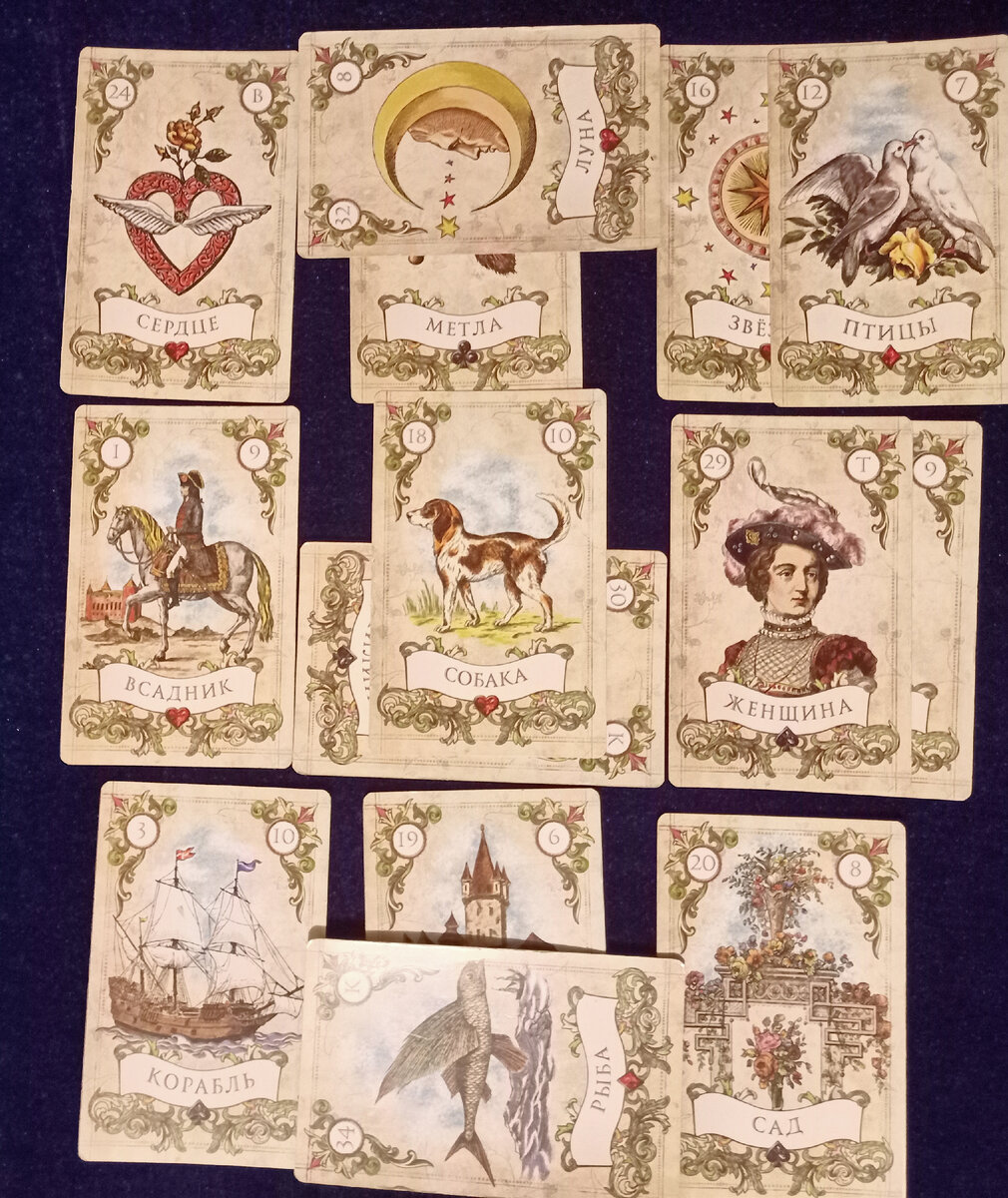 Общее фото расклада