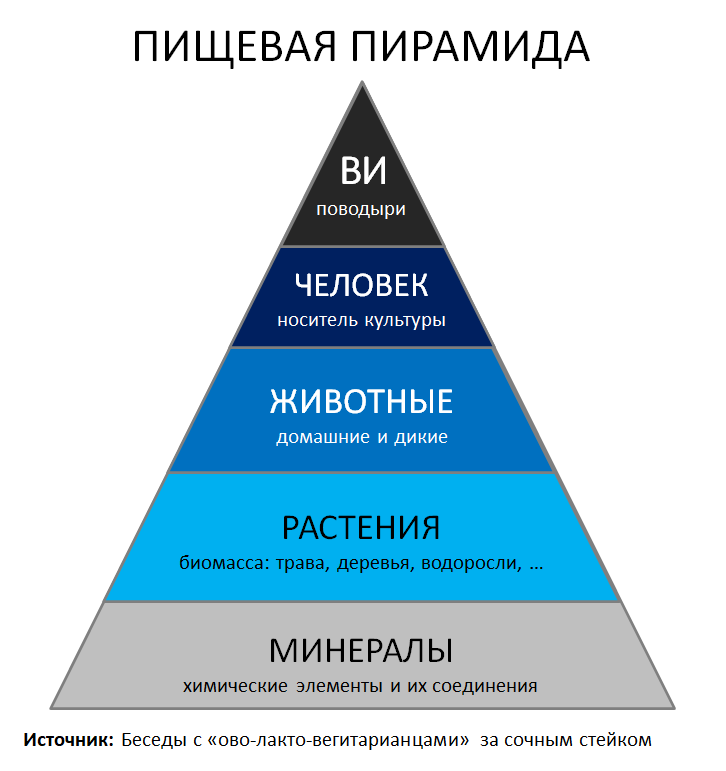 (с) человек - царь зверей, но еще не вершина эволюции