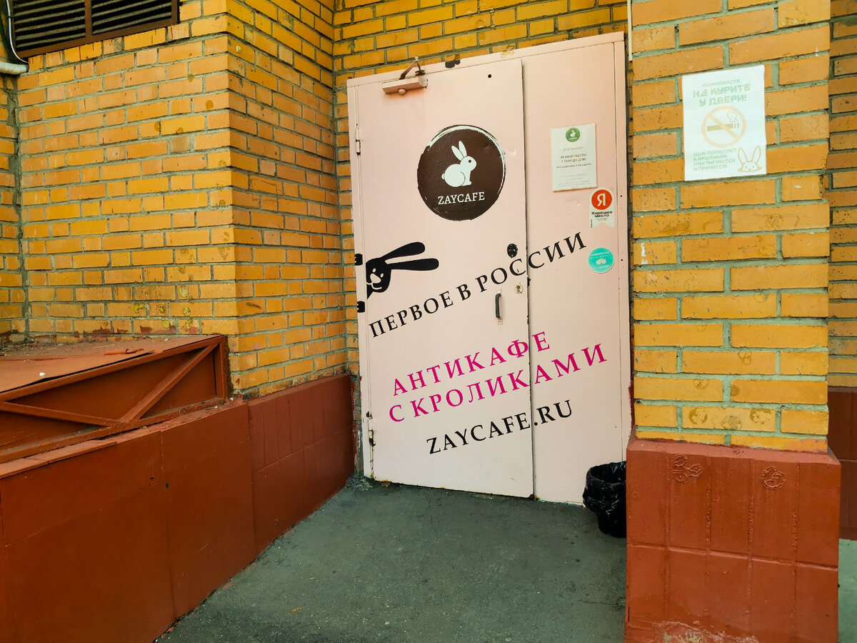 Зайкафе москва отзывы