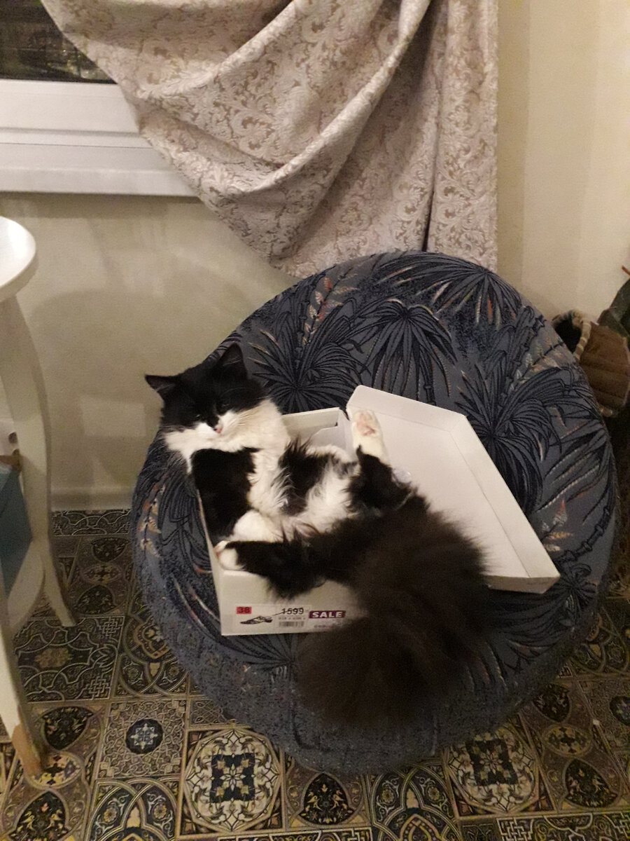 Упаковка идёт