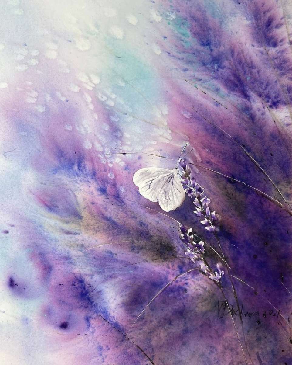 �� ������ �� �����������