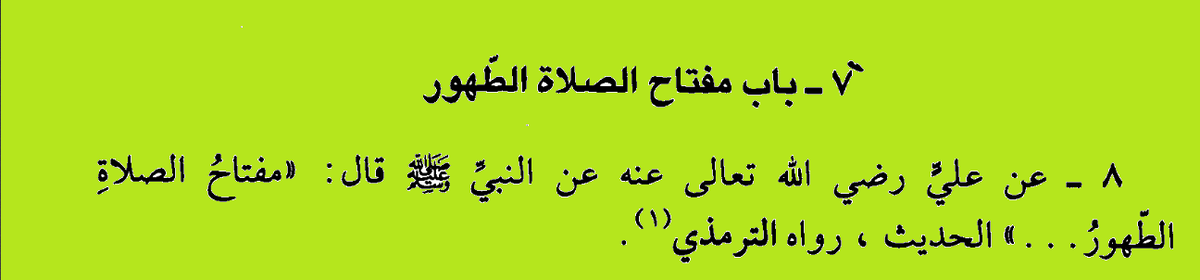 Бухари "сахих" книга "омовения" 3, книга "молитвы" 221, Абу Давуд "сунан" книга "омовения" 56, книга "молитвы" 523, ибн Маджа "сунан" книга "омовения" 271, ад-Дарими "сунан" книга "омовения" 684.