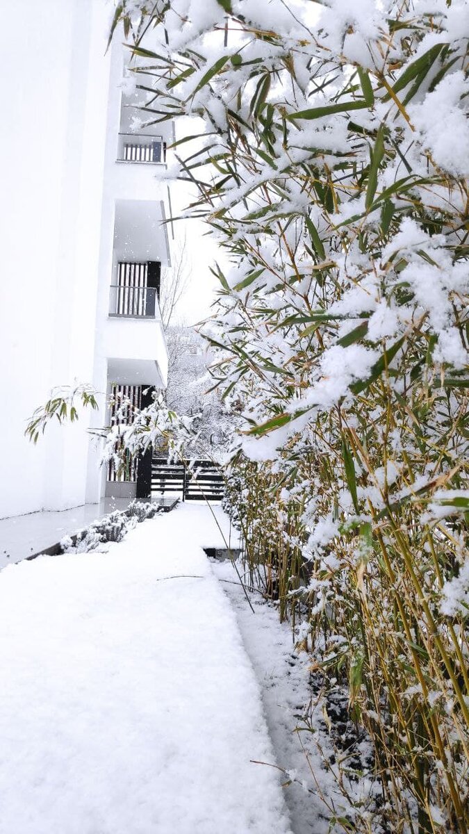 Снег в Крыму