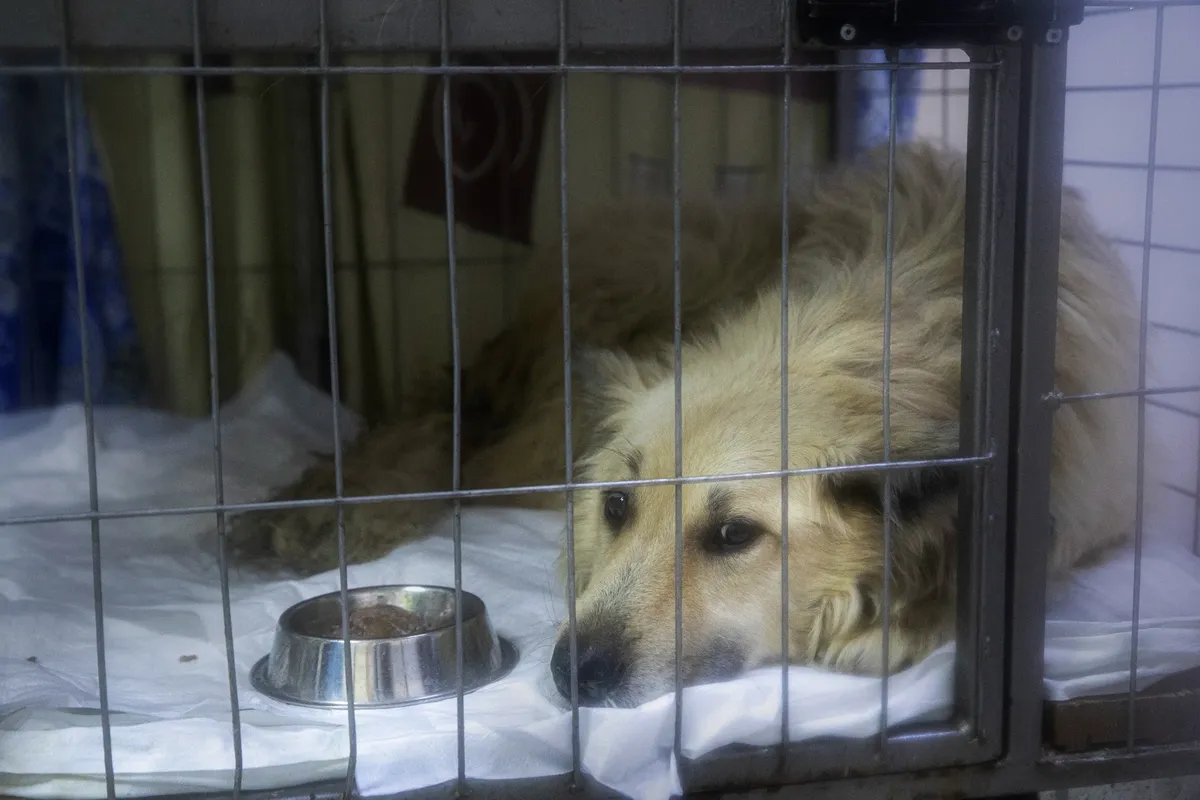 Фото: Влад Докшин / «Новая газета»