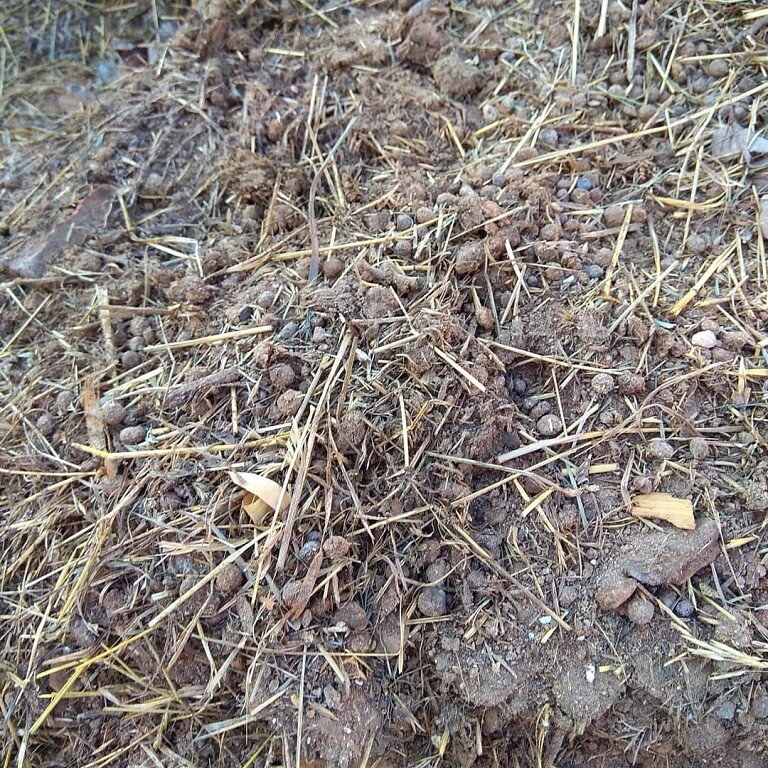 Кроличий помет