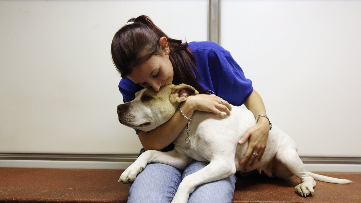 Из открытых источников