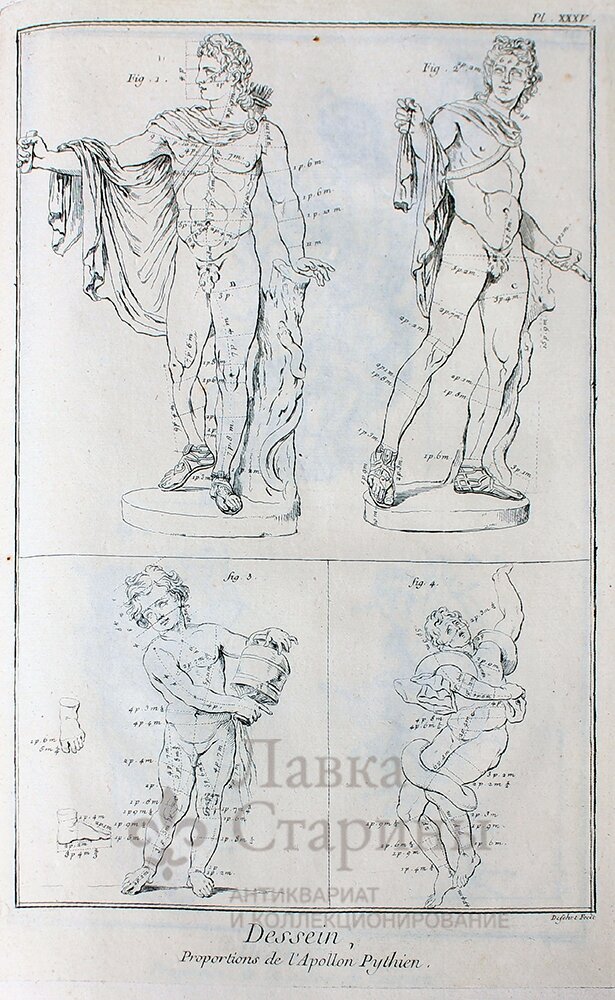 Гравюра «Пропорции Аполлона», Европа, 18 в.