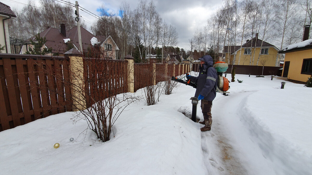 Весенняя обработка деревьев, кустарников и растений oasis-landscape.ru
