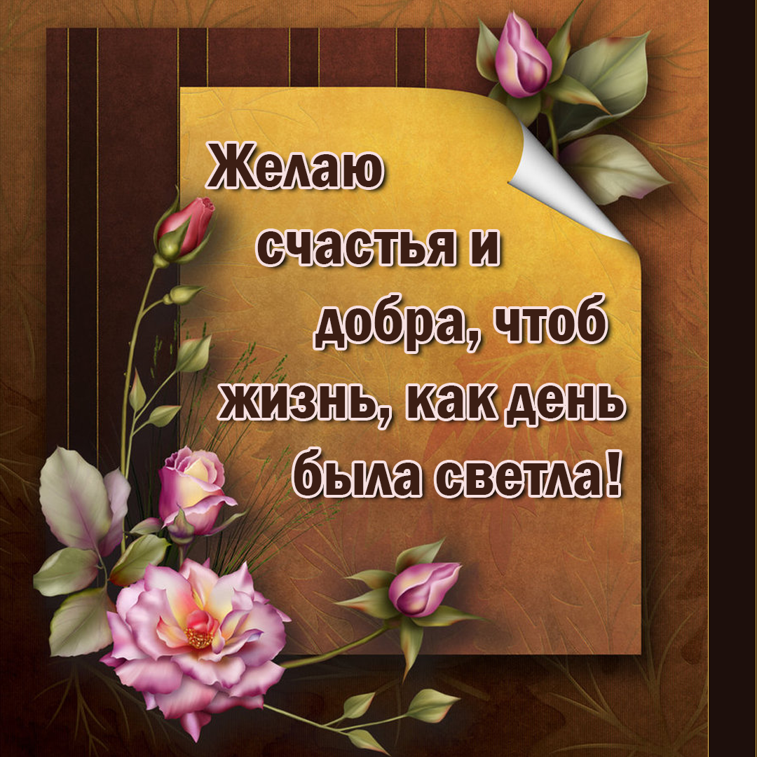яндекс. картинки