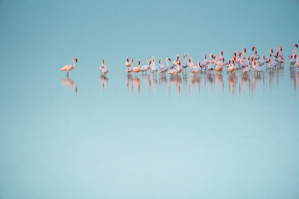 источник unsplash.com