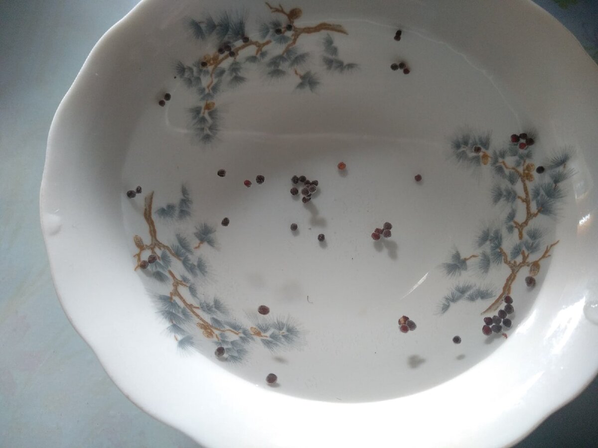 Проверяем на всхожесть в воде семена капусты брокколи