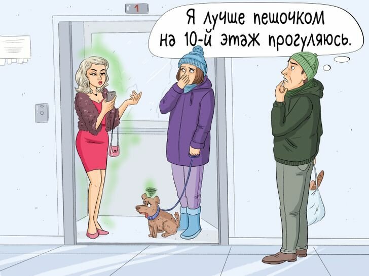 Добавьте описание
