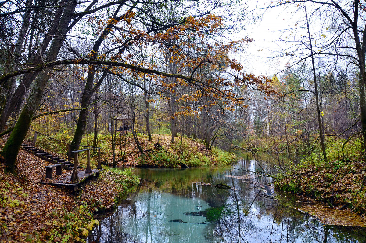 Найдите белочку и журавля.ответы пролистнув фото
