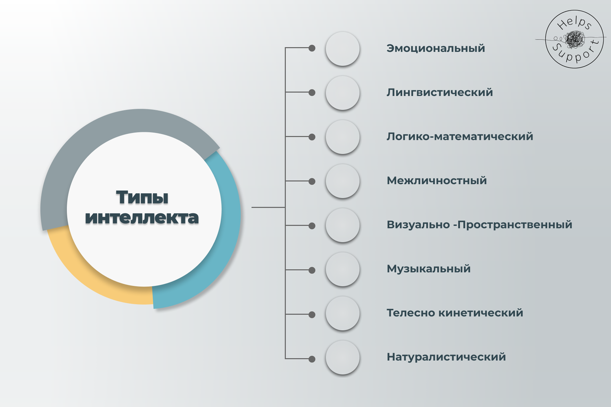 Натуралистический вид интеллект. Типы множественного интеллекта. Говард гарднер типы интеллекта. 8 типов интеллекта. Гарднер типы интеллекта.