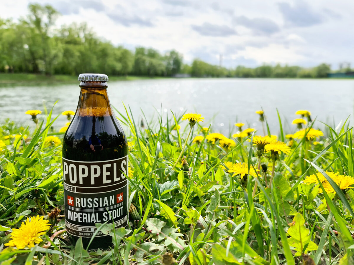 Poppels RIS, фото автора