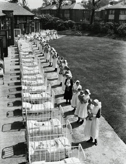 Общественное достояние