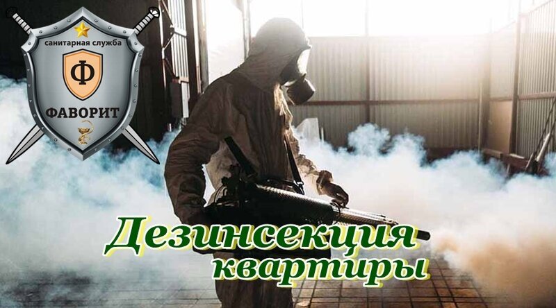 Дезинсекция. Травля клопов в квартире