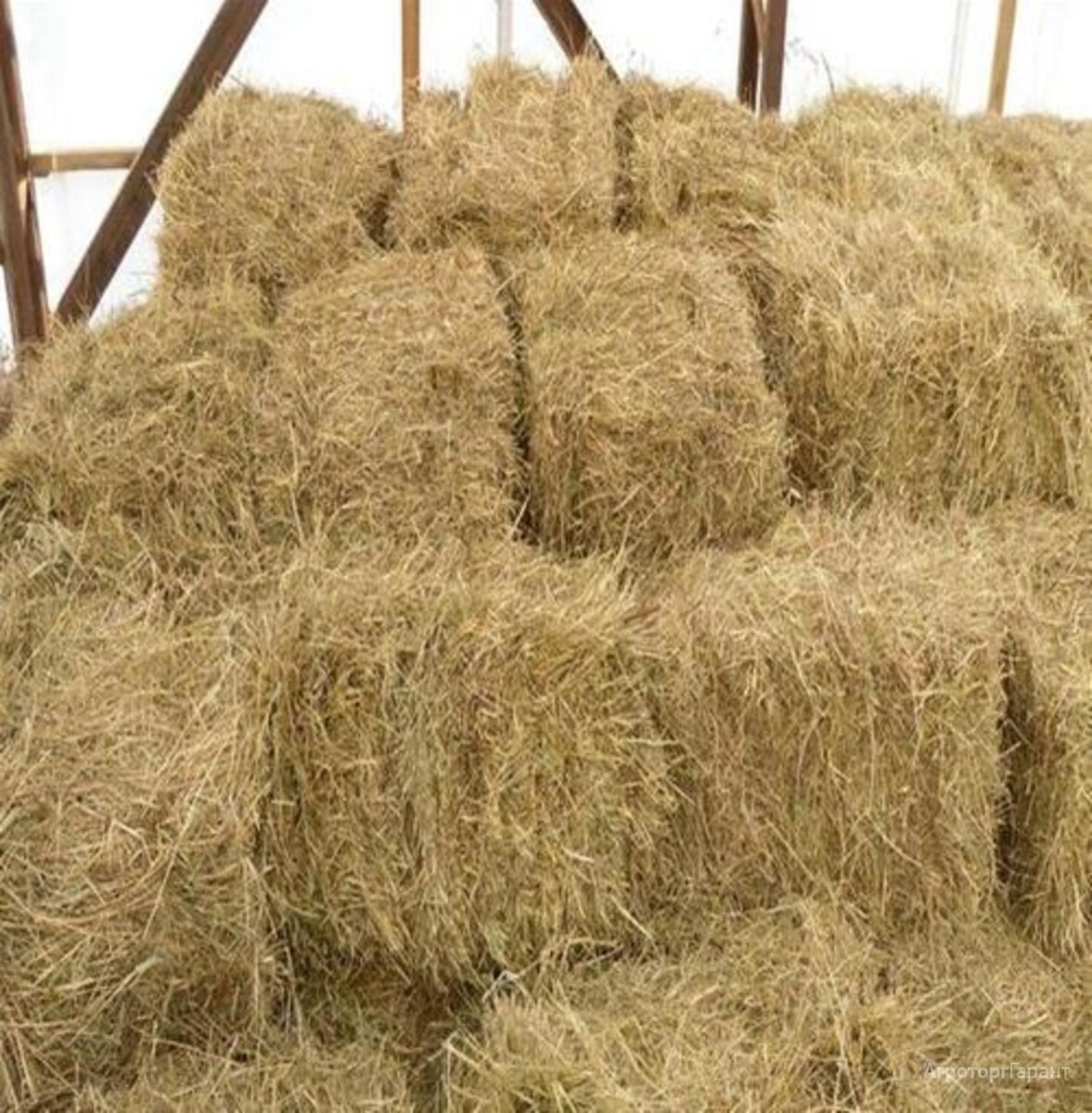 сено в тюках. сено в брикетах. сено люцерна кострецовое. сено в мешках. сено прессованное в брикетах.