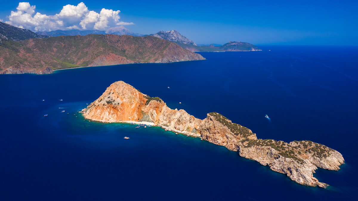 Фото: shutterstock