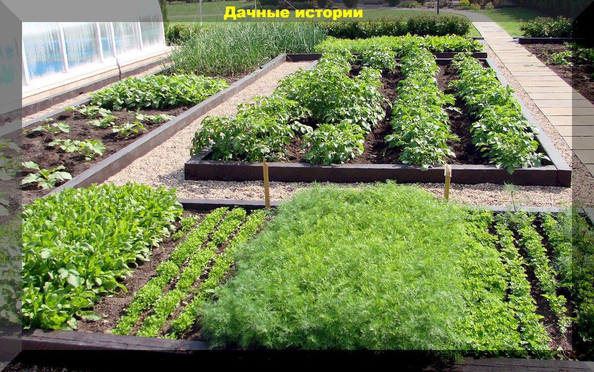 https://vk.com/photo-159774511_457254801