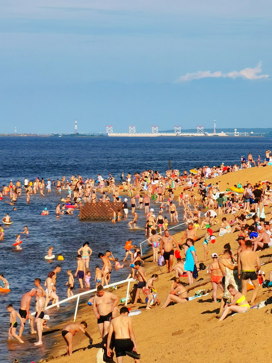 морская ракушка витязево. цветы и море. афанасьевский пляж чебоксары. пляж паралия витязево. лето пляж.