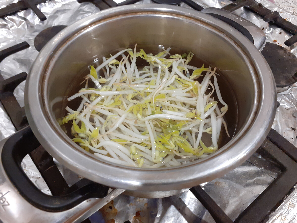 Салат из пророщенного маша
