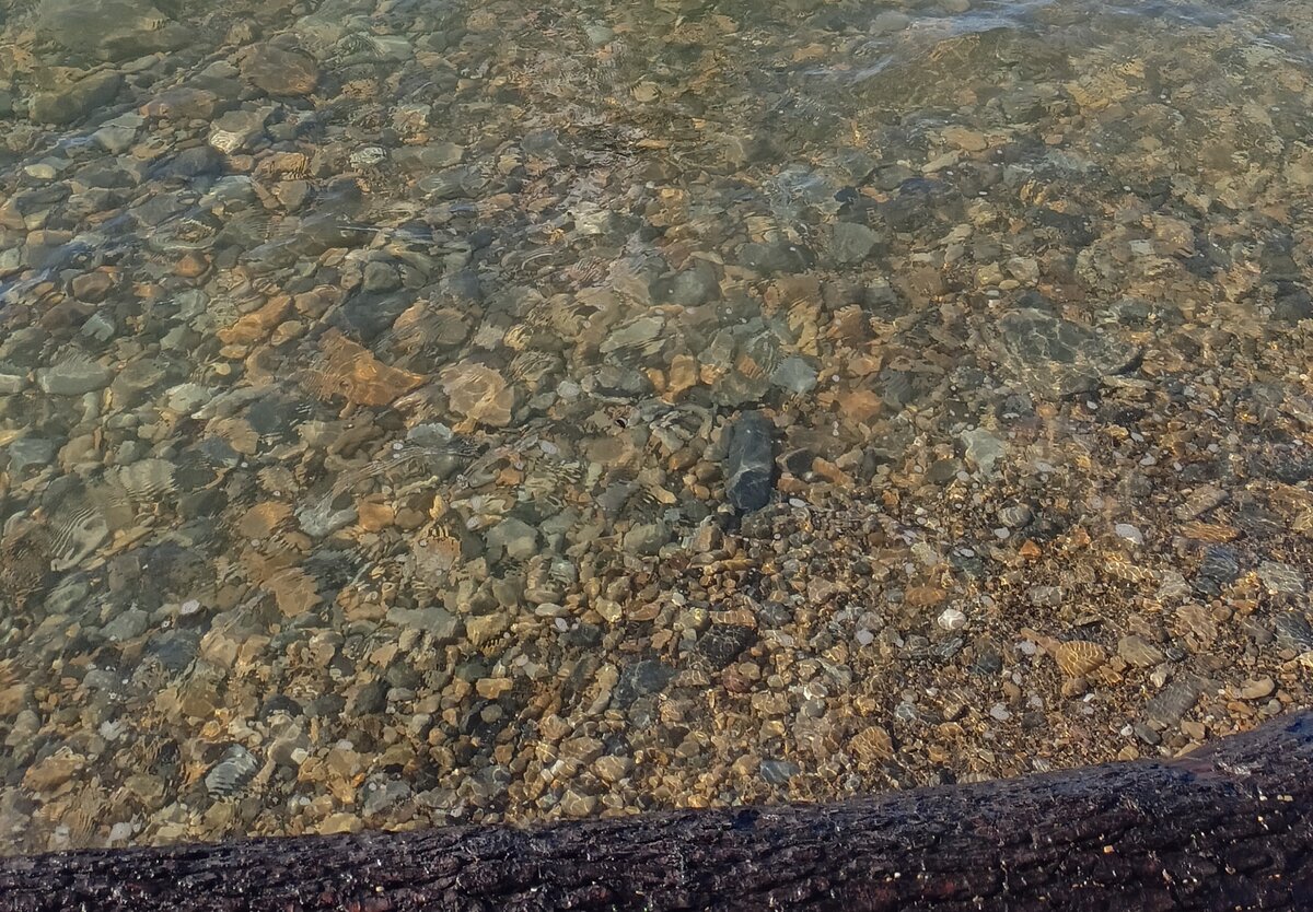 Вот так выглядит берег