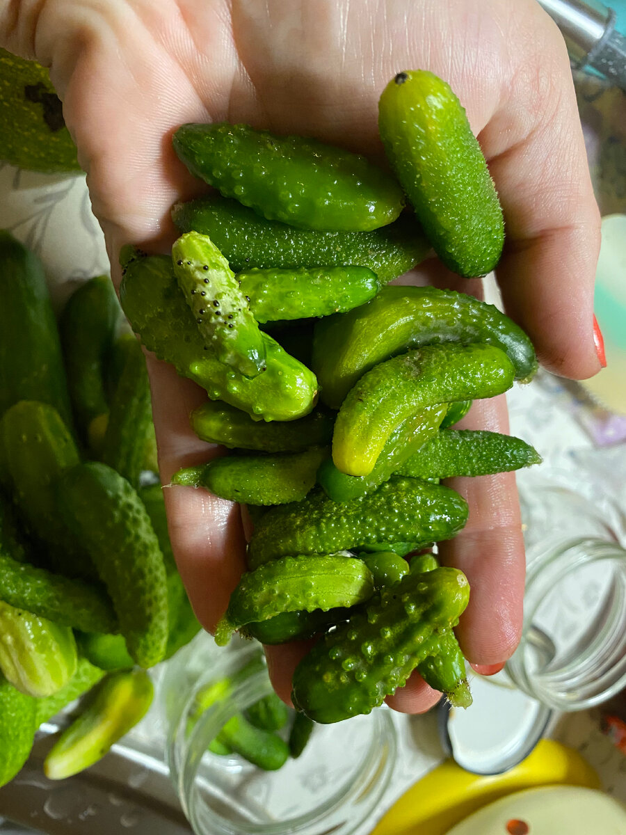 Личное фото 