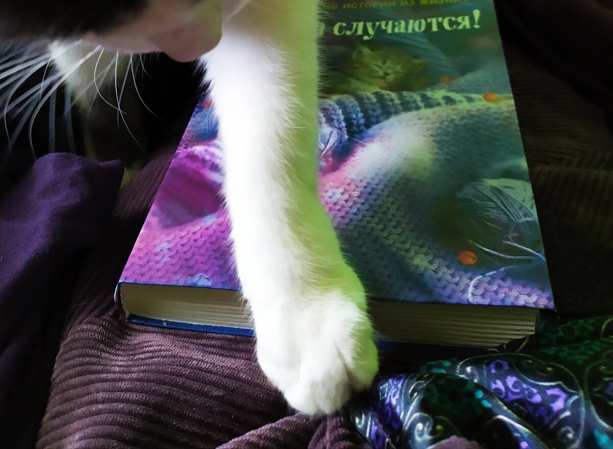 Та самая лапа, которая совершает преступления