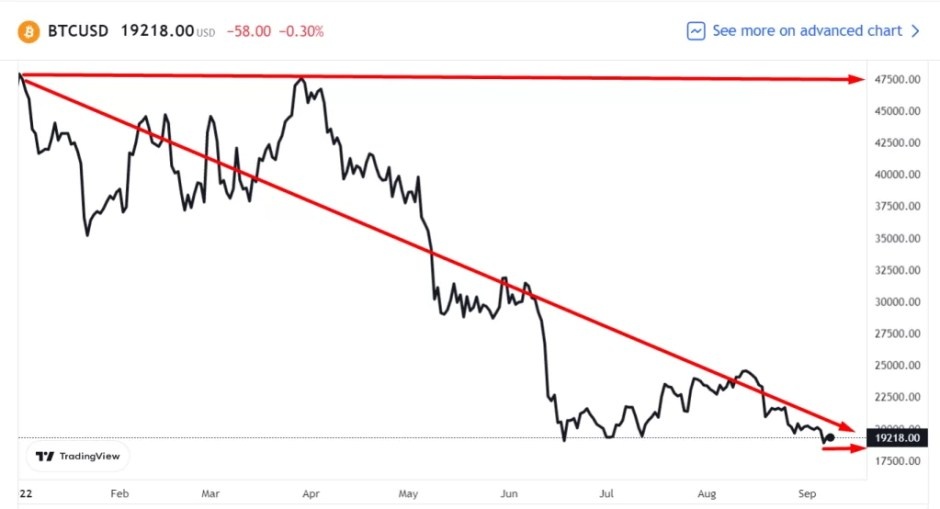   График Биткоина за год. Картинка: tradingview Золотова Анастасия