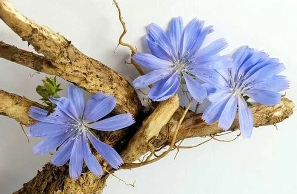 Изображение с Яндекс.Картинки