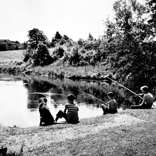 Лёнина семья | Мавридика де Монбазон | Дзен