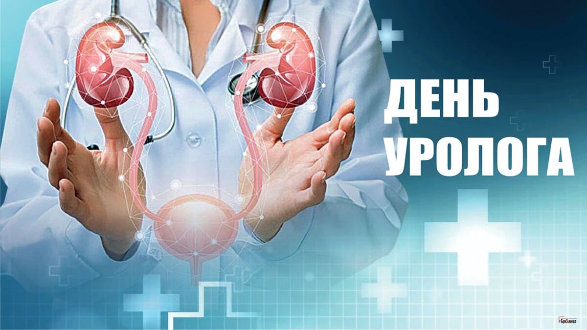 День уролога. Иллюстрация: «Курьер.Среда»