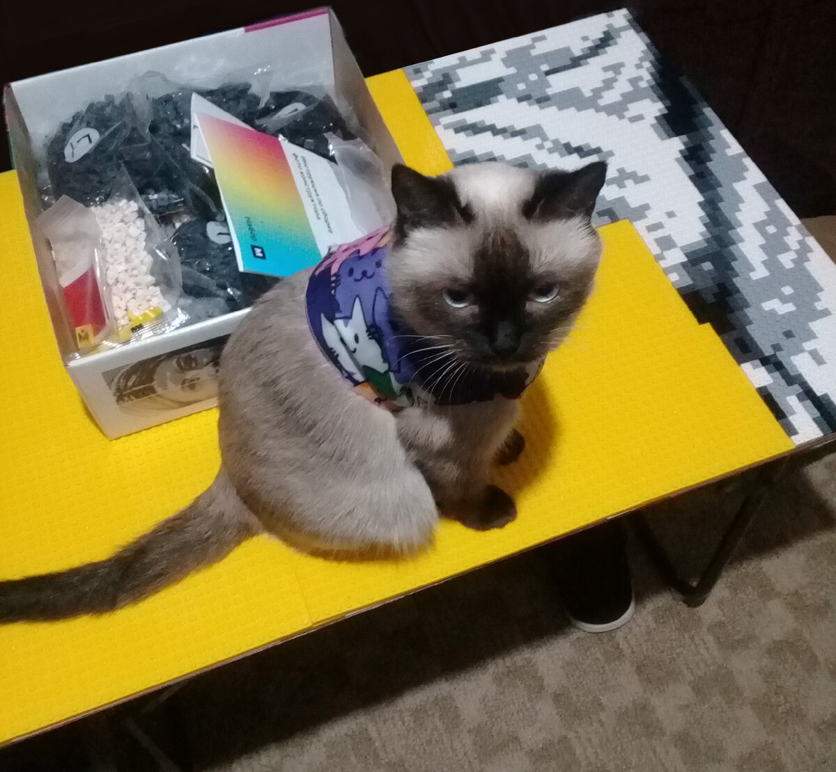 Мушу контролирует процесс чтобы все было как надо😀