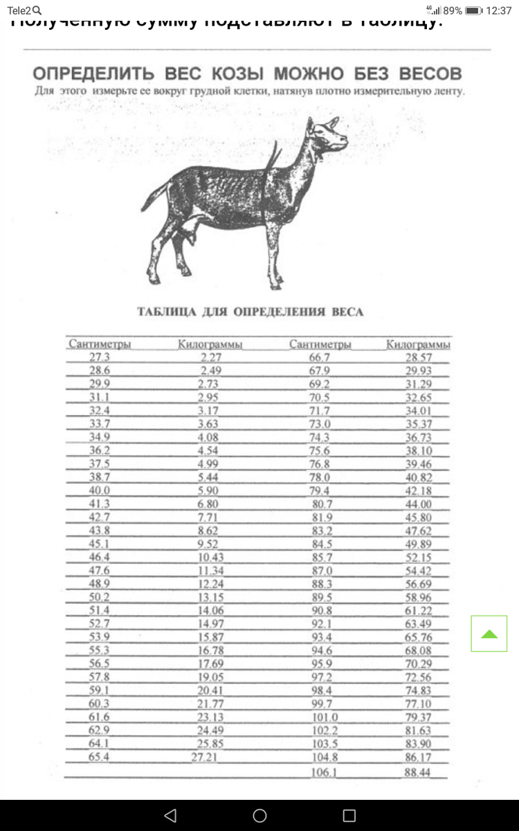 Как определить вес козы?