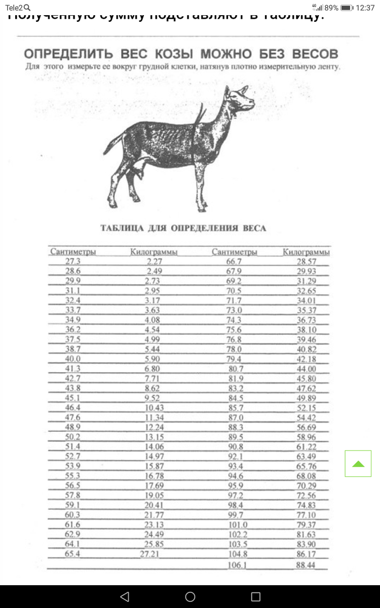 Как определить живую массу. Таблица определения веса козы. Таблица измерения веса коз. Таблица расчёта веса козы. Таблица измерения веса коз метром.