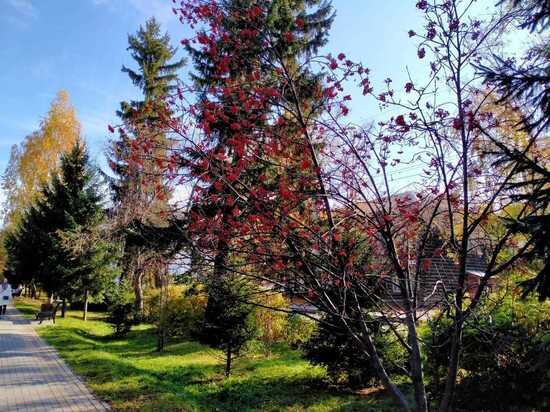     Фото: "МК в Томске"