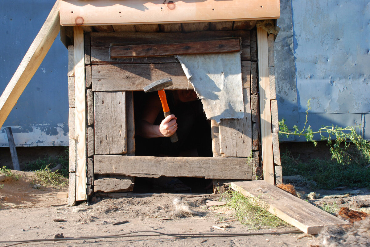 А те, кто не захочет читать мою подборку, могут получить.... просмотр только картинок)))