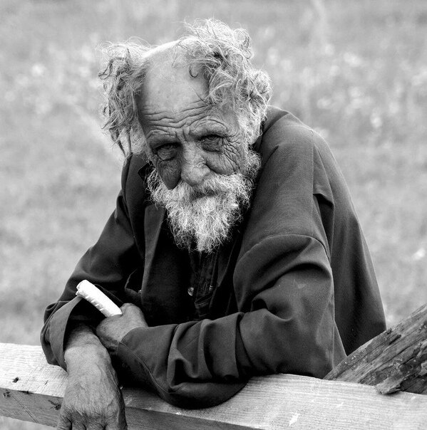 фото из интернета