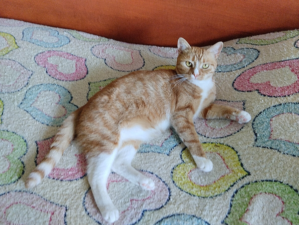 Я Белка) Приятно познакомиться)