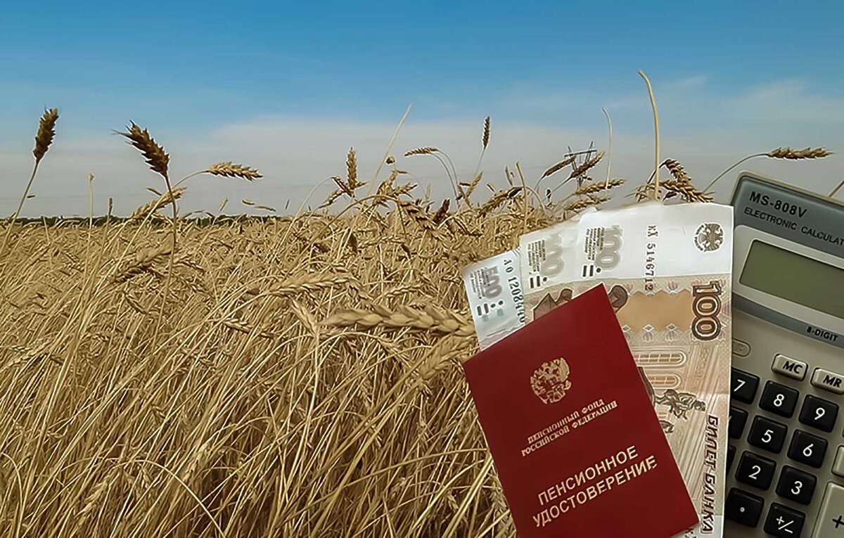 Сельский стаж. Пенсия в сельской местности. Сельская надбавка. Сельские пенсионеры.