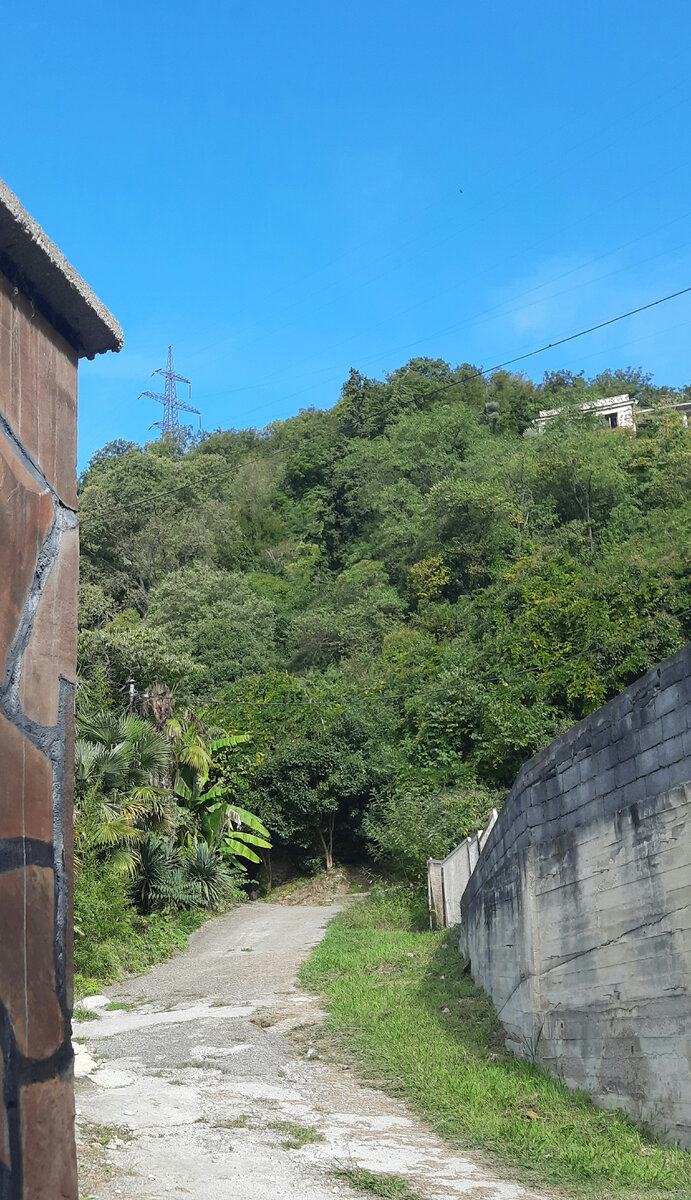 Наверху видно краешек этой Дачи