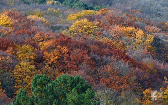    Осенний Крым Александр Полегенько © ИА REGNUM
