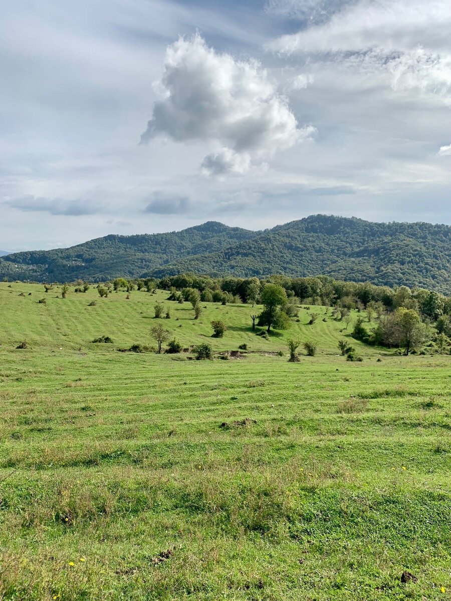 На фоне село Лесное