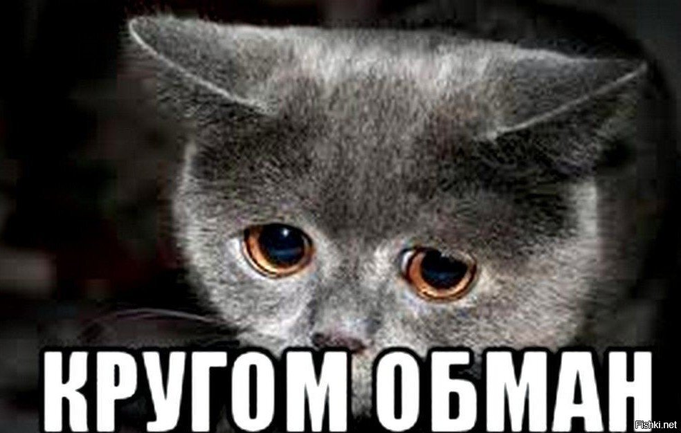 из открытых источников интернета