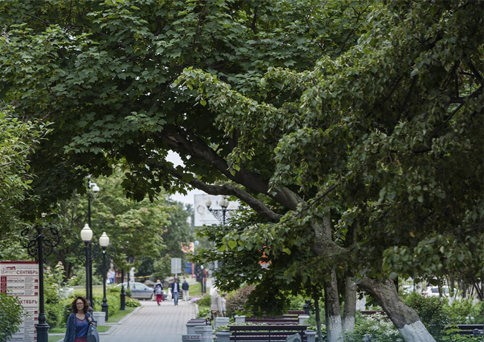 телеграмм-канал правительства Сахалинской области