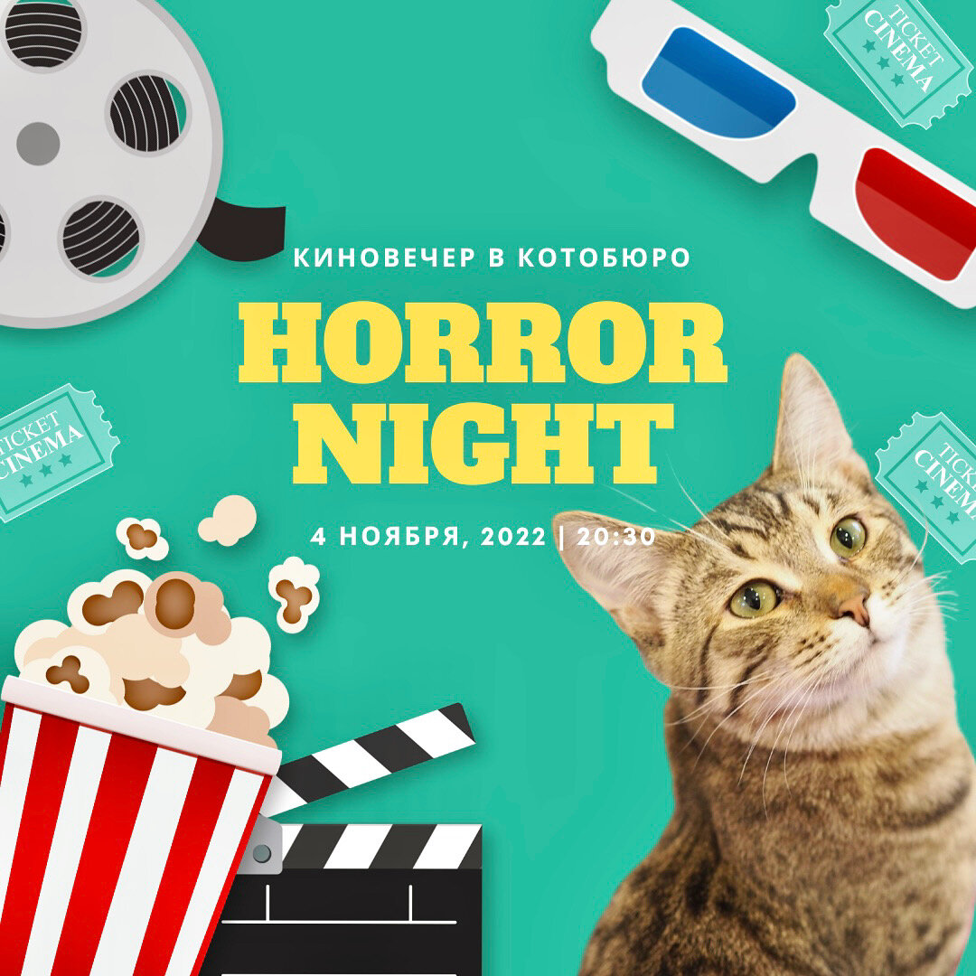 Каждую пятницу в Котобюро мы смотрим классные фильмы с классными котиками!