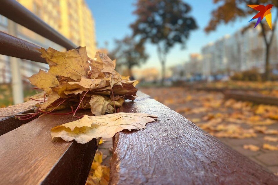     В Афанасьев день нужно гадать на суженого. Фото: Кира ИВАНОВА