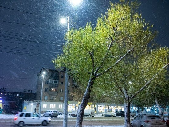     Фото: Людмила Ковалева.
